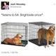 Doing just fine.